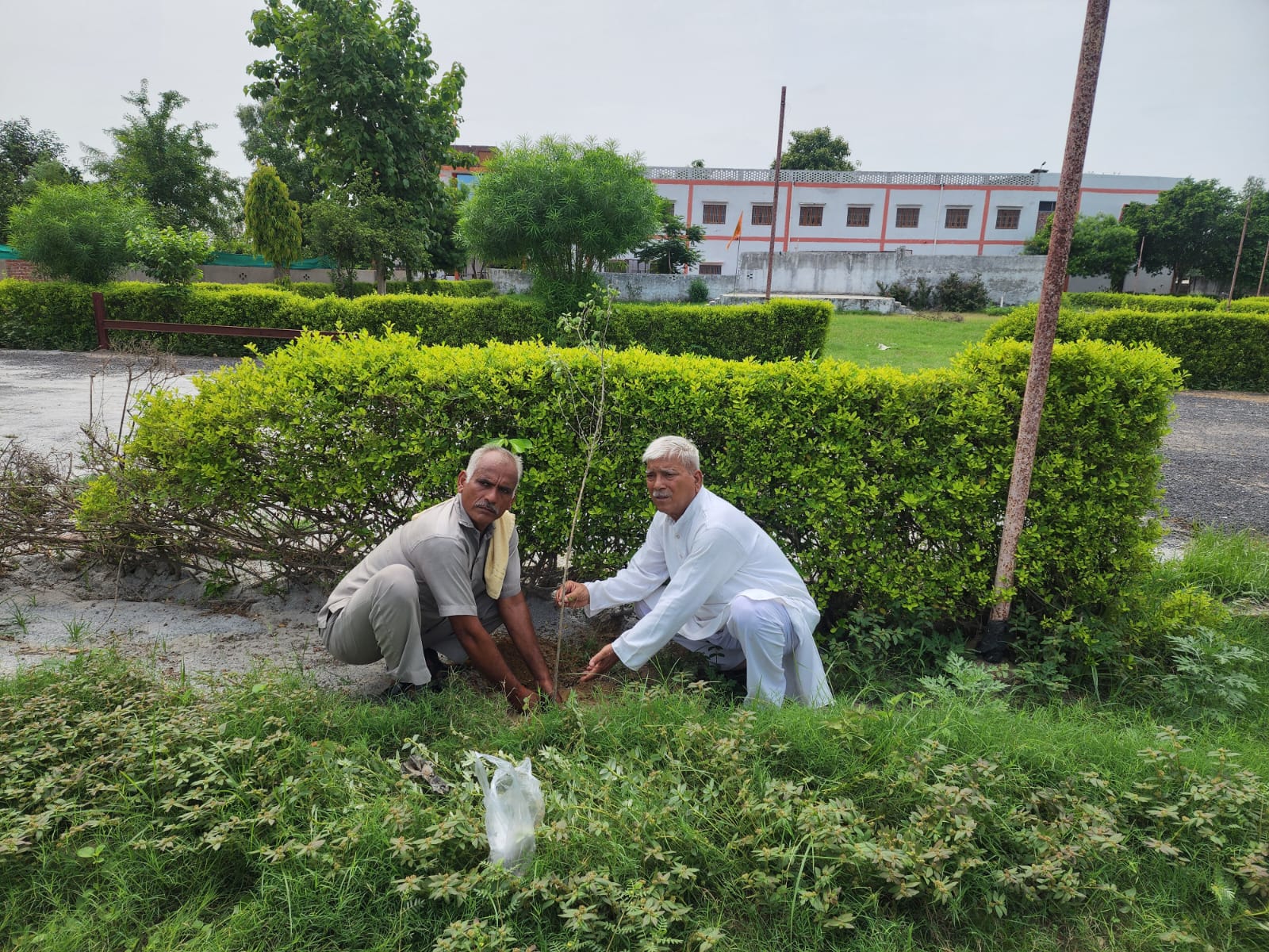 College Grounds
